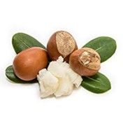 Shea Butter
